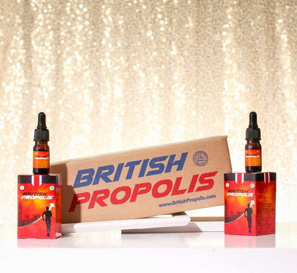 slide bisnis british propolis
