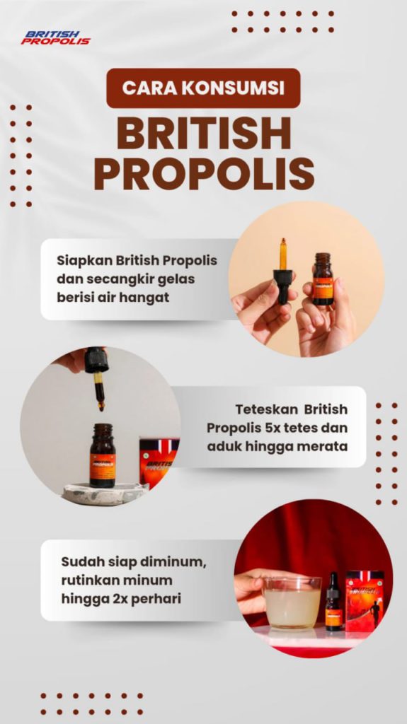 manfaat british propolis untuk dewasa