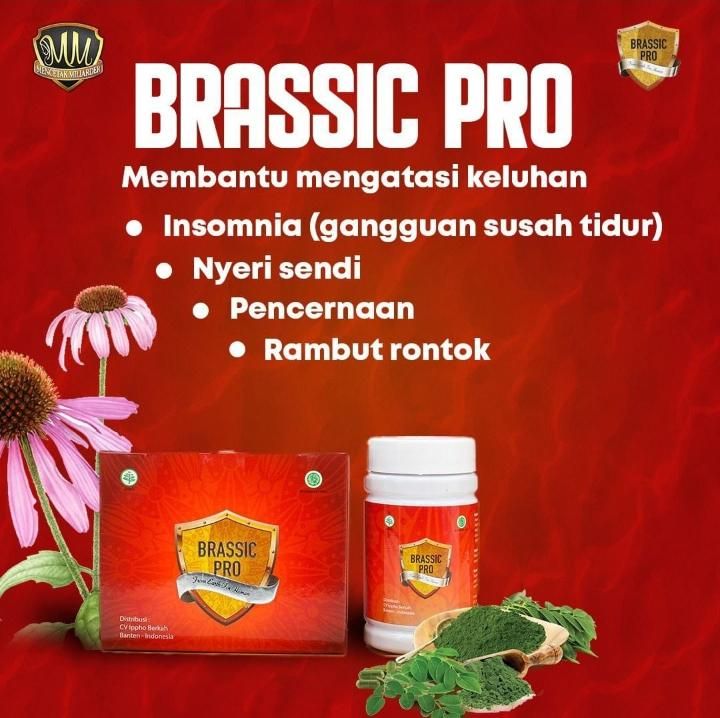 brassic pro obat apa